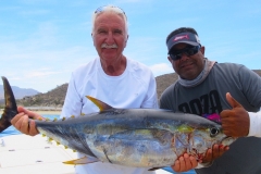 Yellowfin Tuna