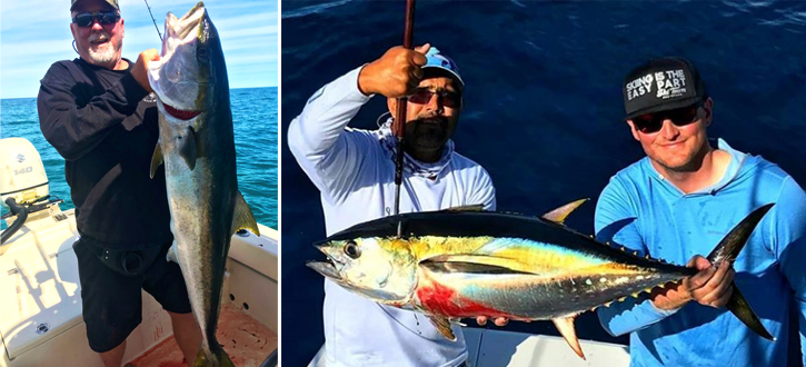 Fishing Report -March Yellowtail and Tuna