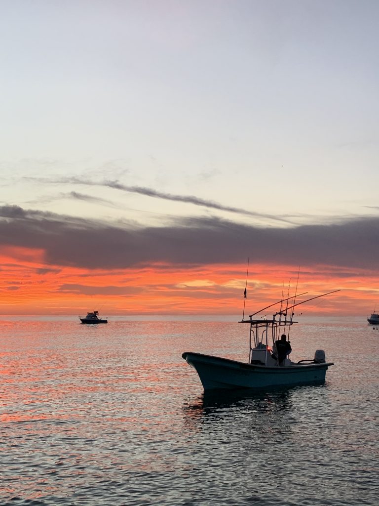 La Joya ready to make a new Los Barriles fishing report